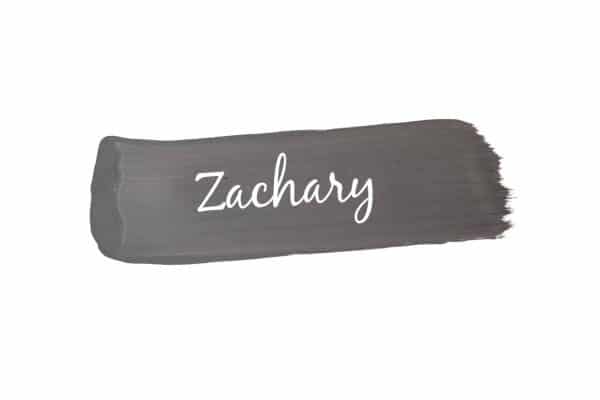 paint swoosh of Mango Paint colour Zachary