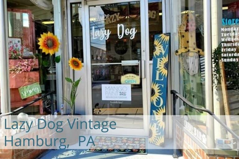 LazyDog Vintage